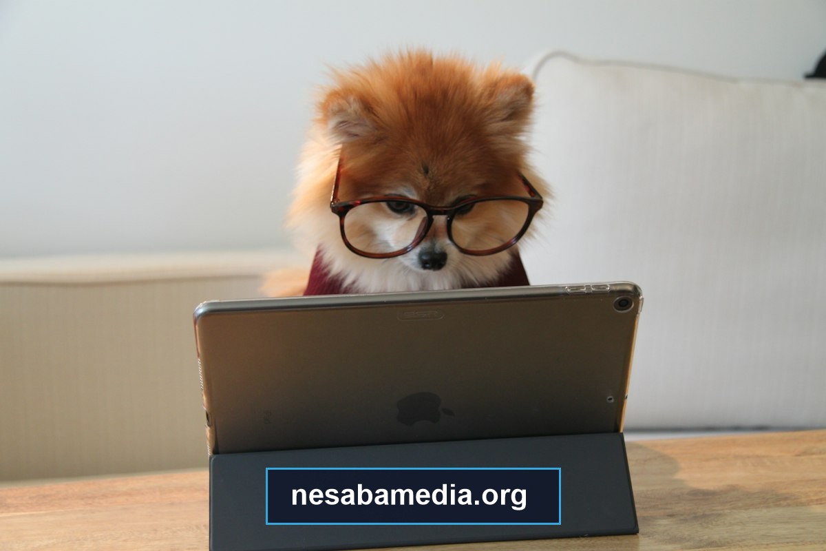 Prosedur Pemecahan Masalah Service Required nesabamedia.org